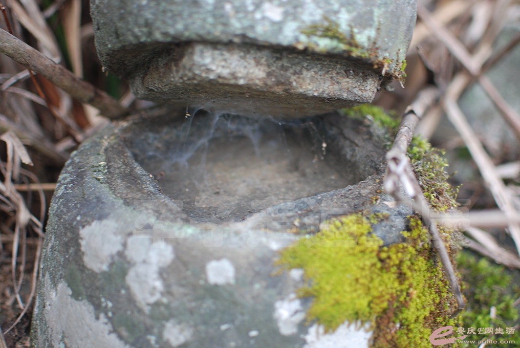DSC_0684.jpg