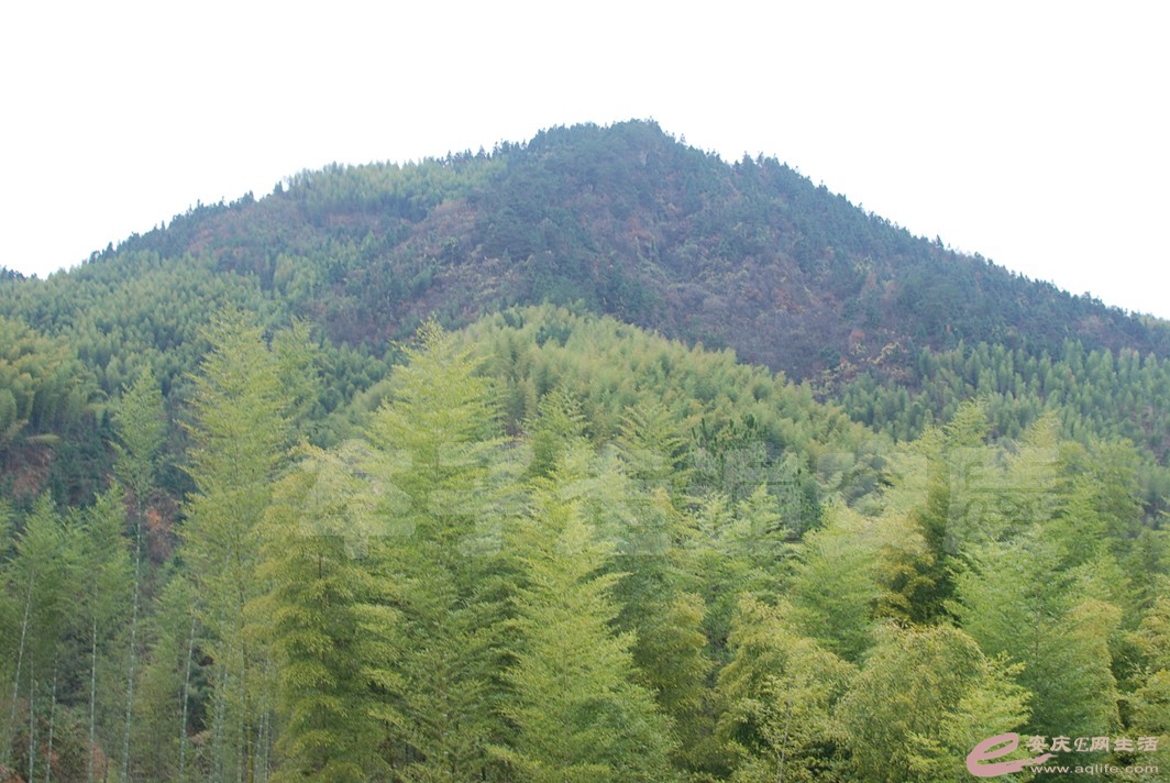 DSC_0655.jpg