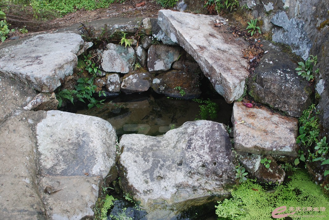 DSC_0343.jpg