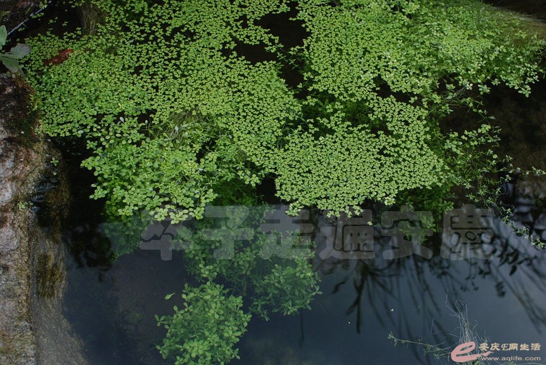 DSC_0347.jpg