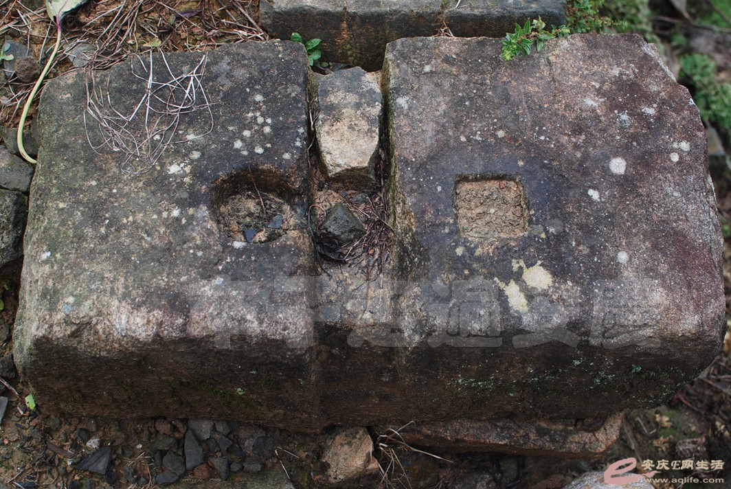 DSC_0394.jpg