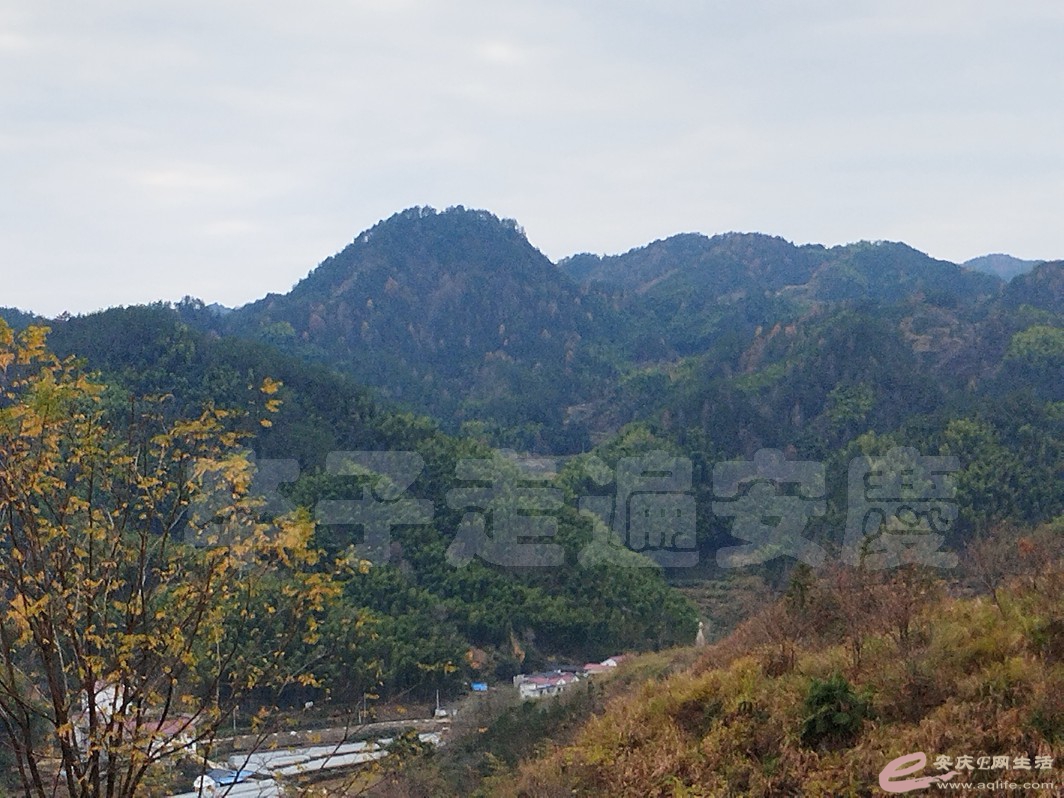 DSC_0811.jpg