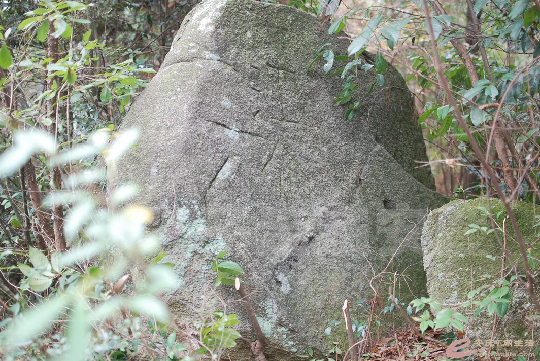 DSC_0881.jpg