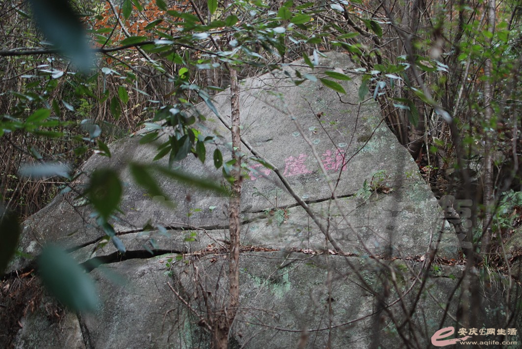 DSC_0887.jpg