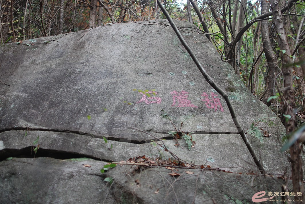 DSC_0885.jpg