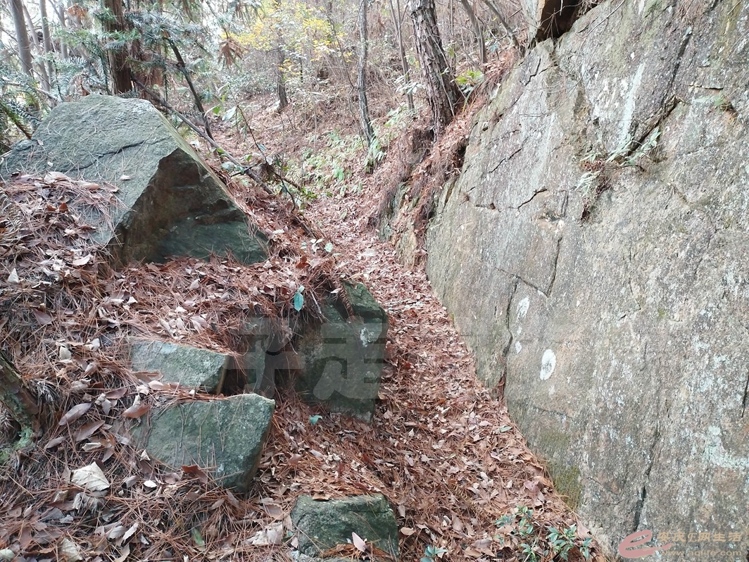 IMG_20221126_135308.jpg