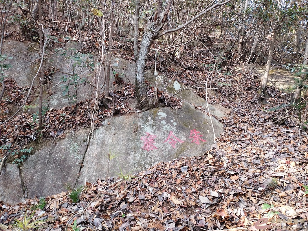IMG_20221126_143057.jpg