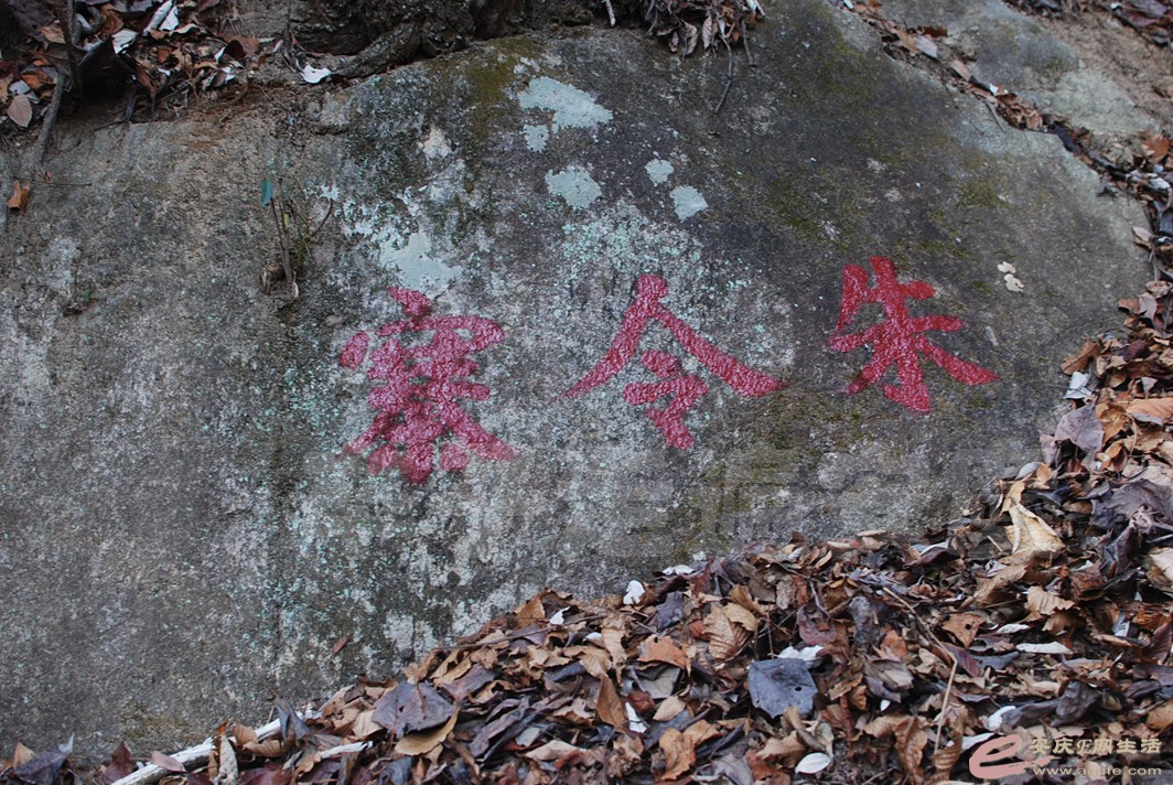 DSC_0906.jpg