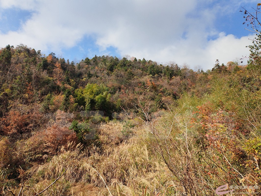 IMG_20221126_114614.jpg