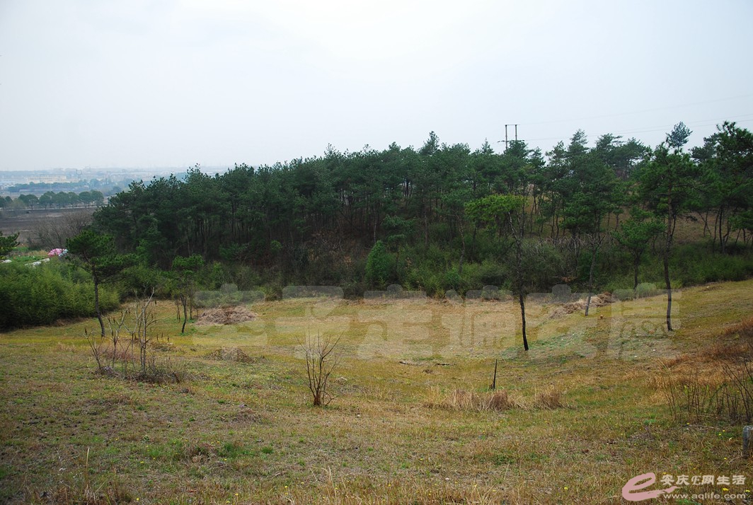 DSC_2499.jpg
