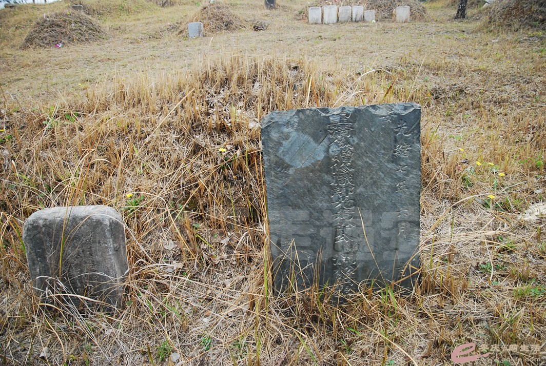 DSC_2518.jpg