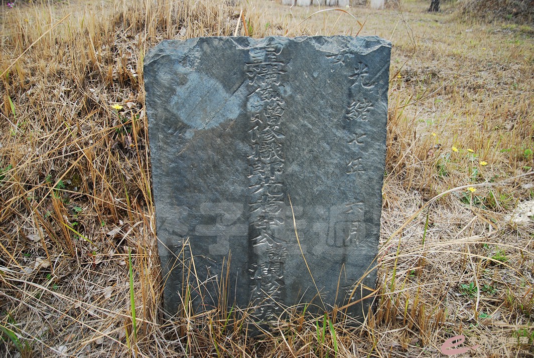 DSC_2519.jpg