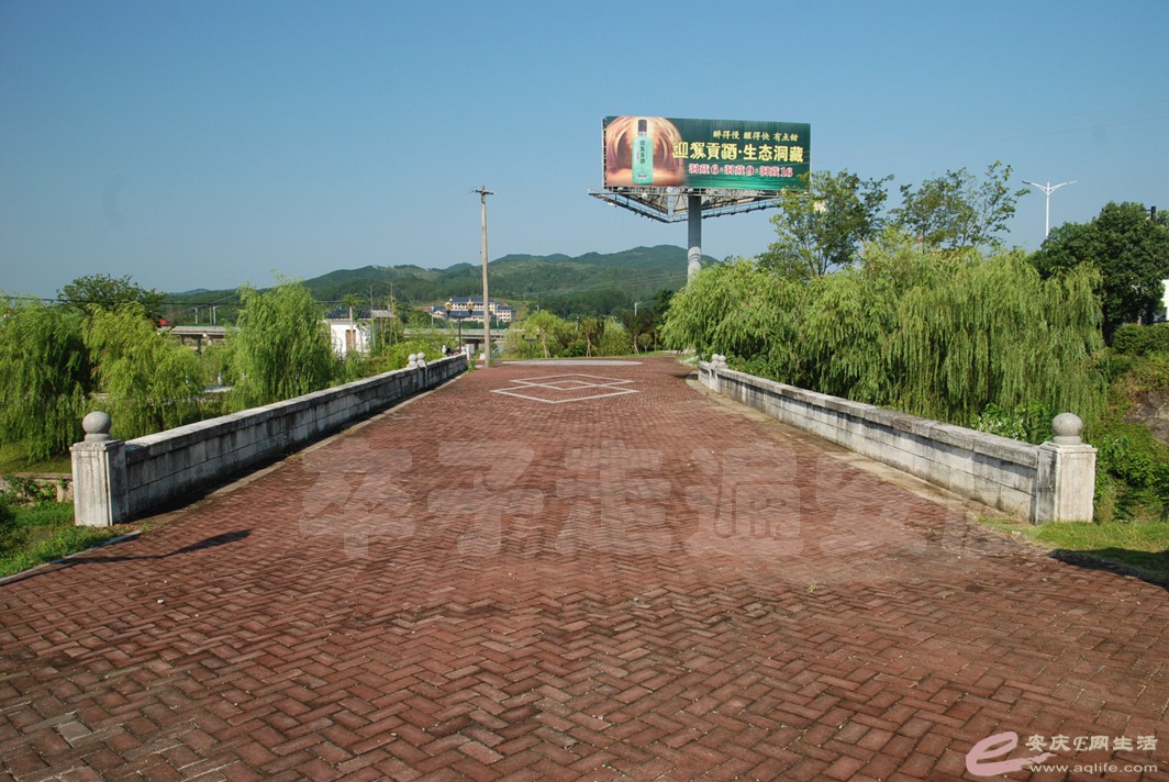 DSC_5765.jpg
