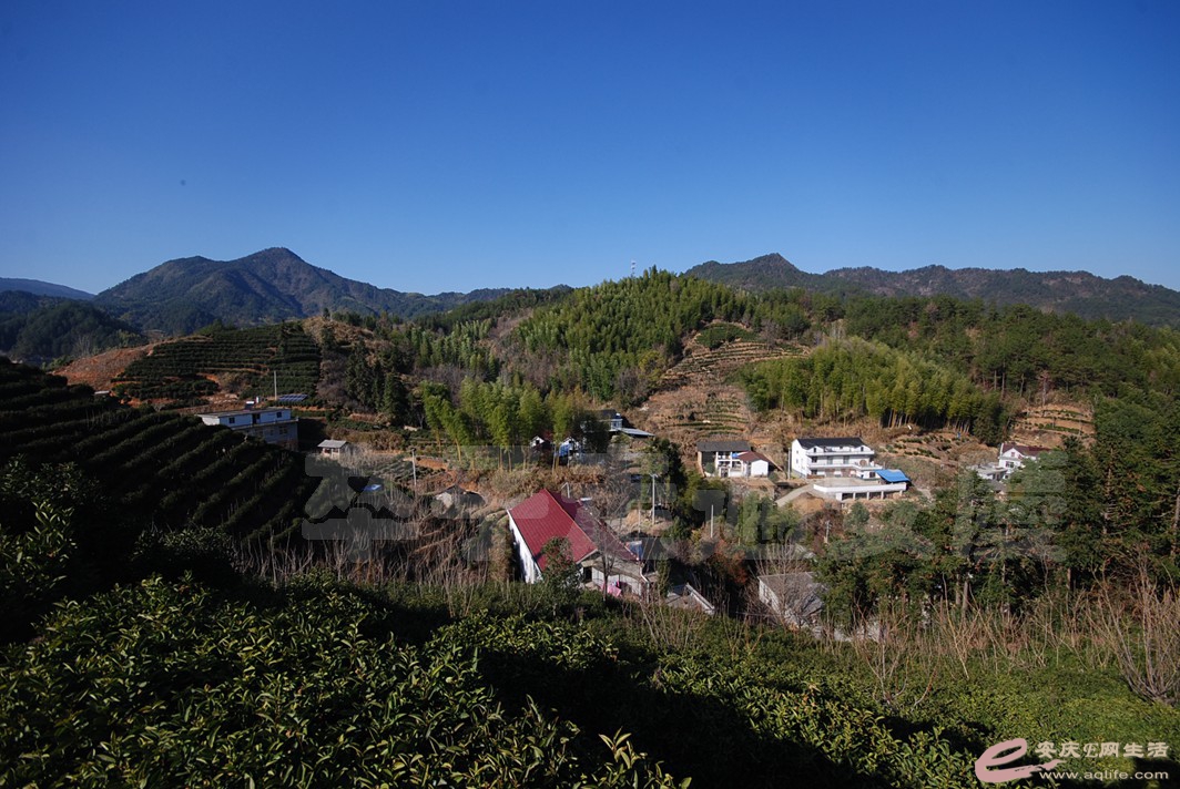 DSC_0917.jpg