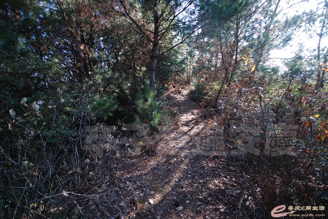 DSC_0927.jpg