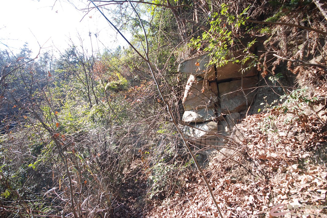 DSC_0936.jpg
