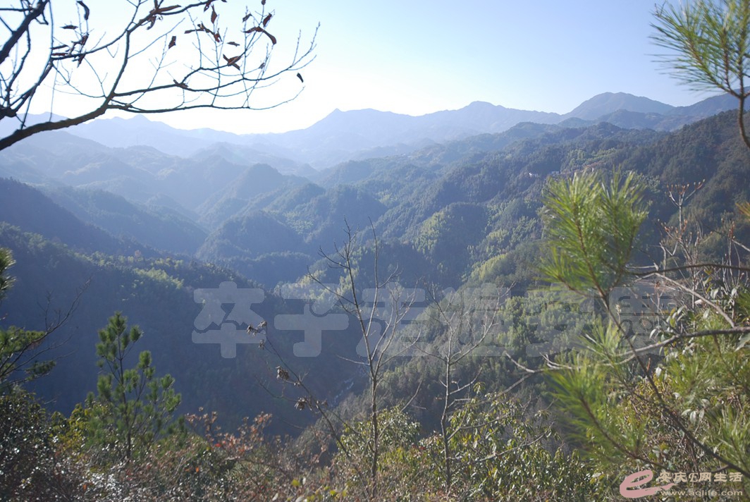 DSC_0961.jpg