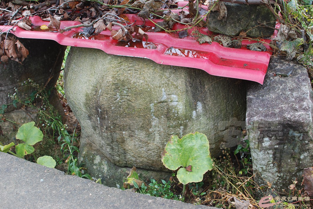 DSC_0327.jpg