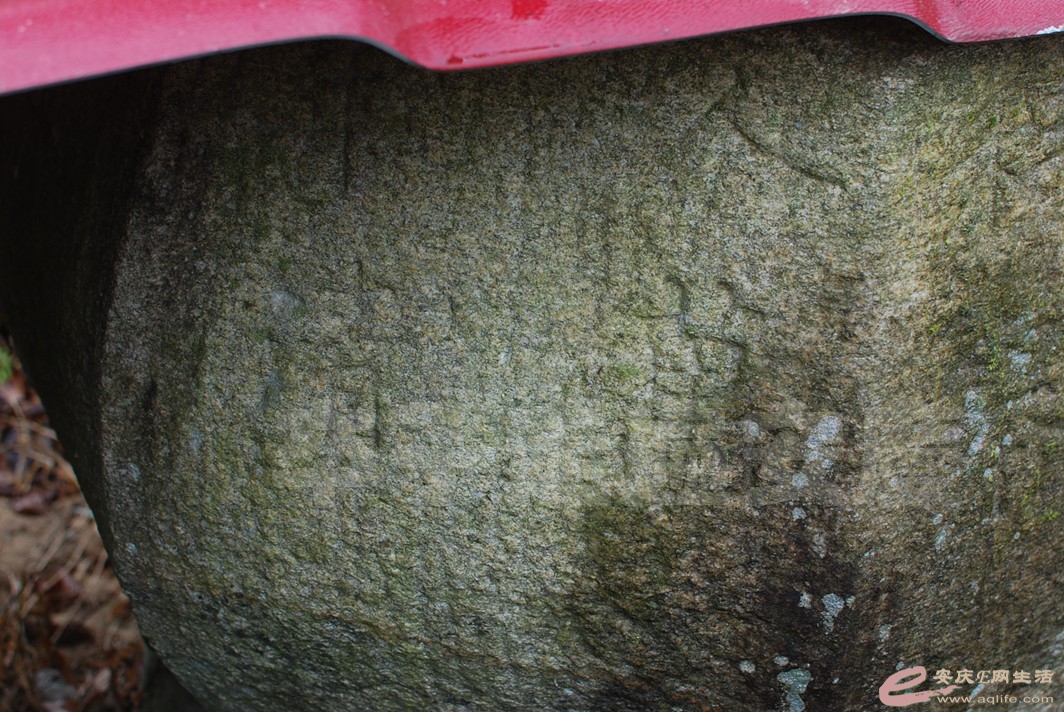 DSC_0329.jpg
