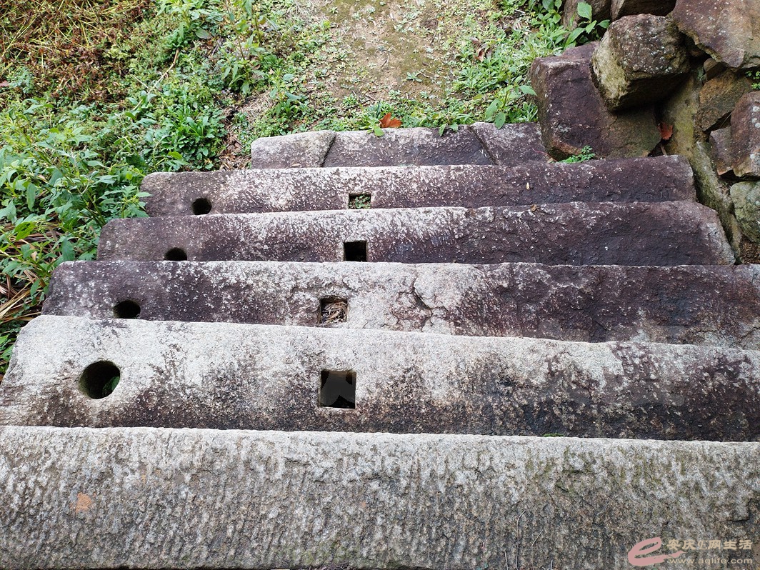 DSC_0362.jpg