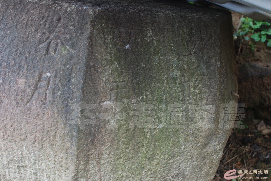 DSC_0411.jpg