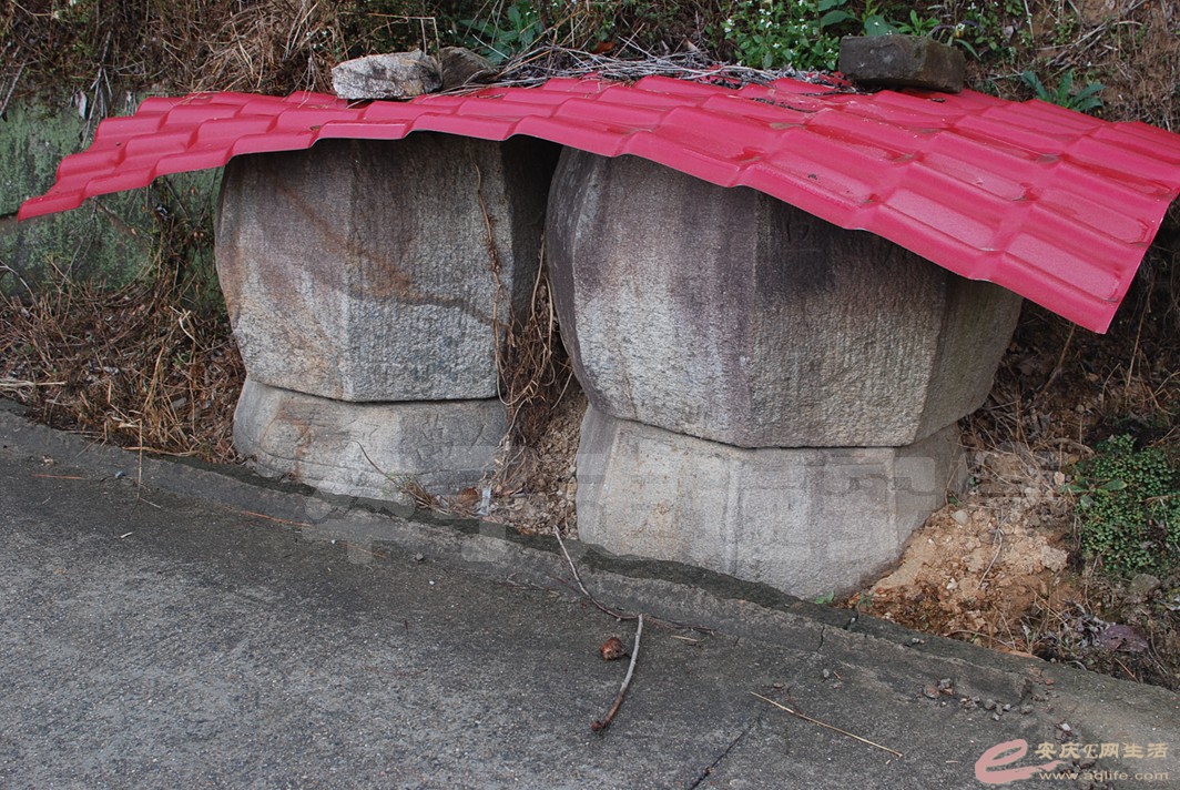 DSC_0412.jpg