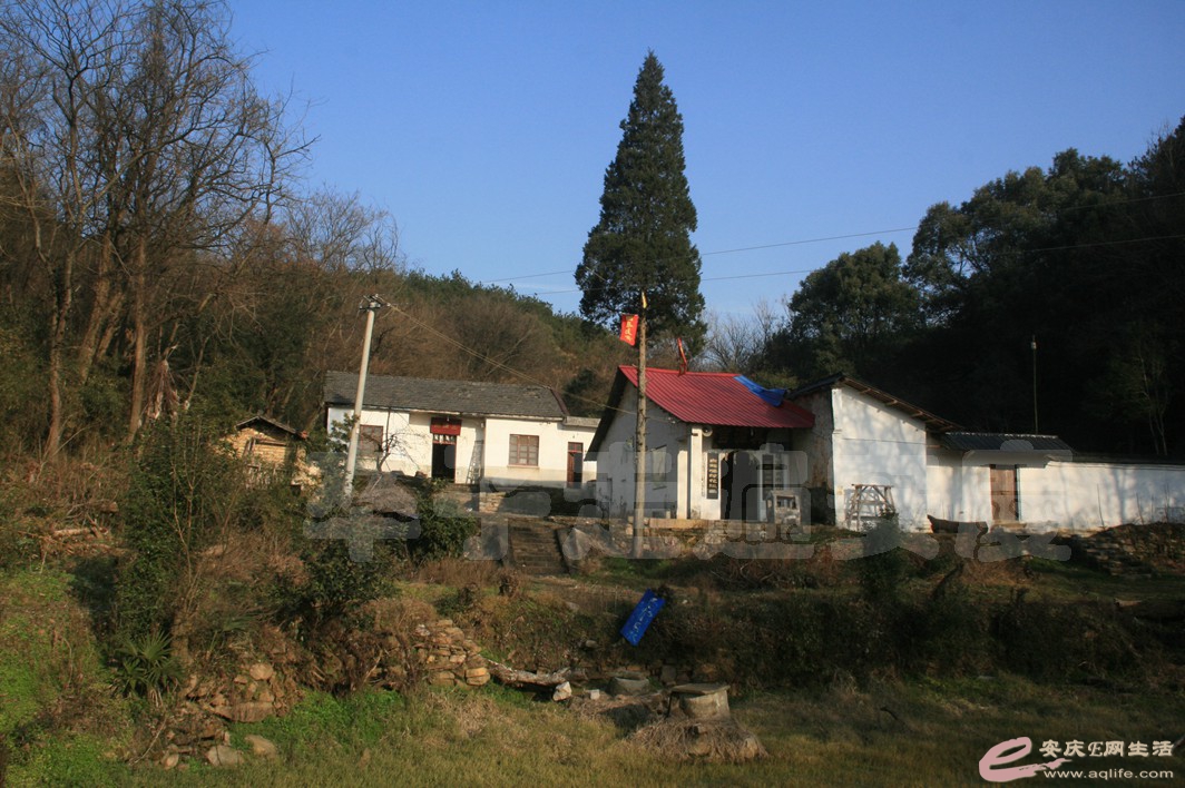 20170121 020.jpg