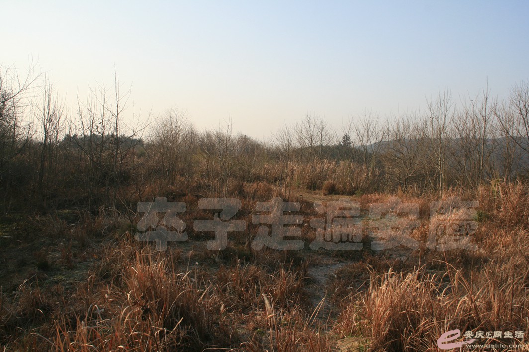 20170121 012.jpg