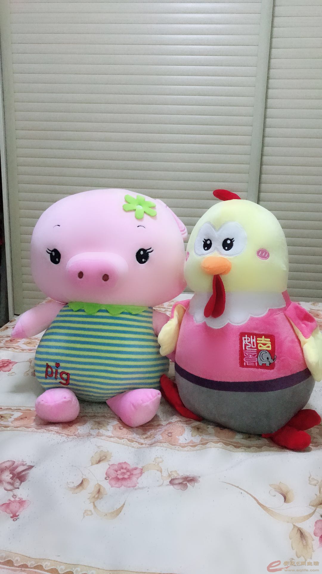 ΢ͼƬ_20180718221449.jpg