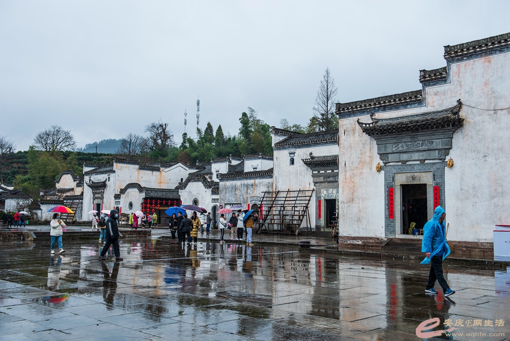 D81_5280.jpg