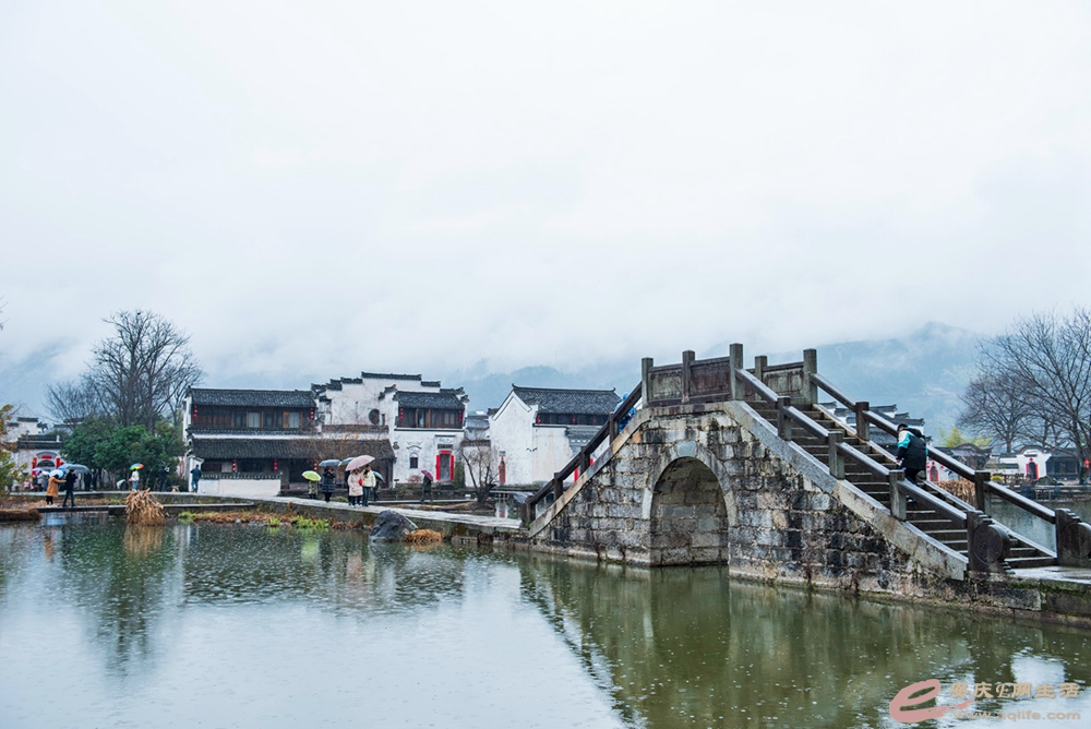 D81_5288.jpg