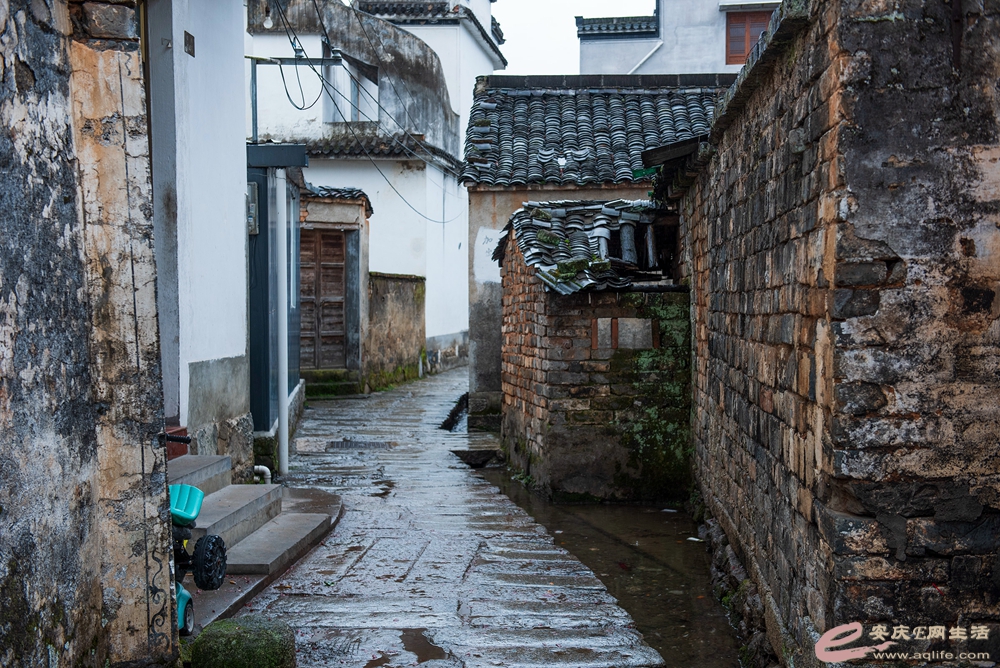 D81_5300.jpg