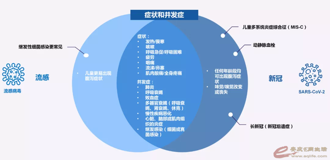 mmexport1675474906757.png
