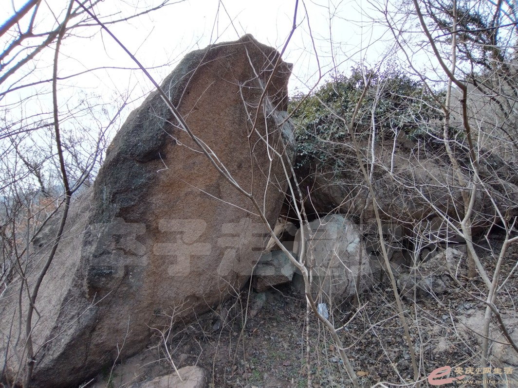 IMG_20230201_121204.jpg