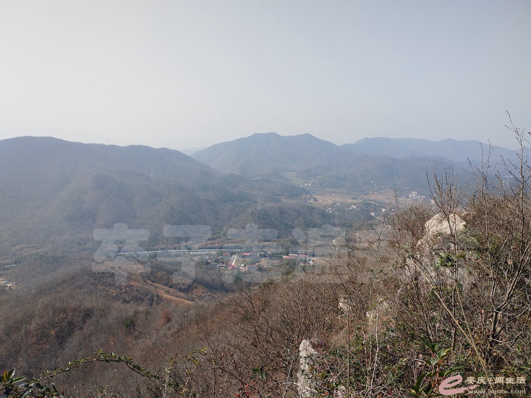 IMG_20230120_095613.jpg
