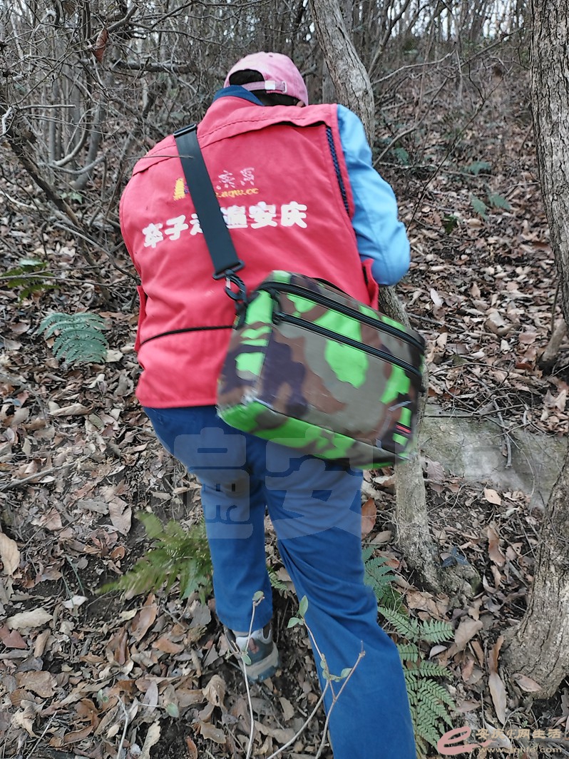 IMG_20230120_101238.jpg
