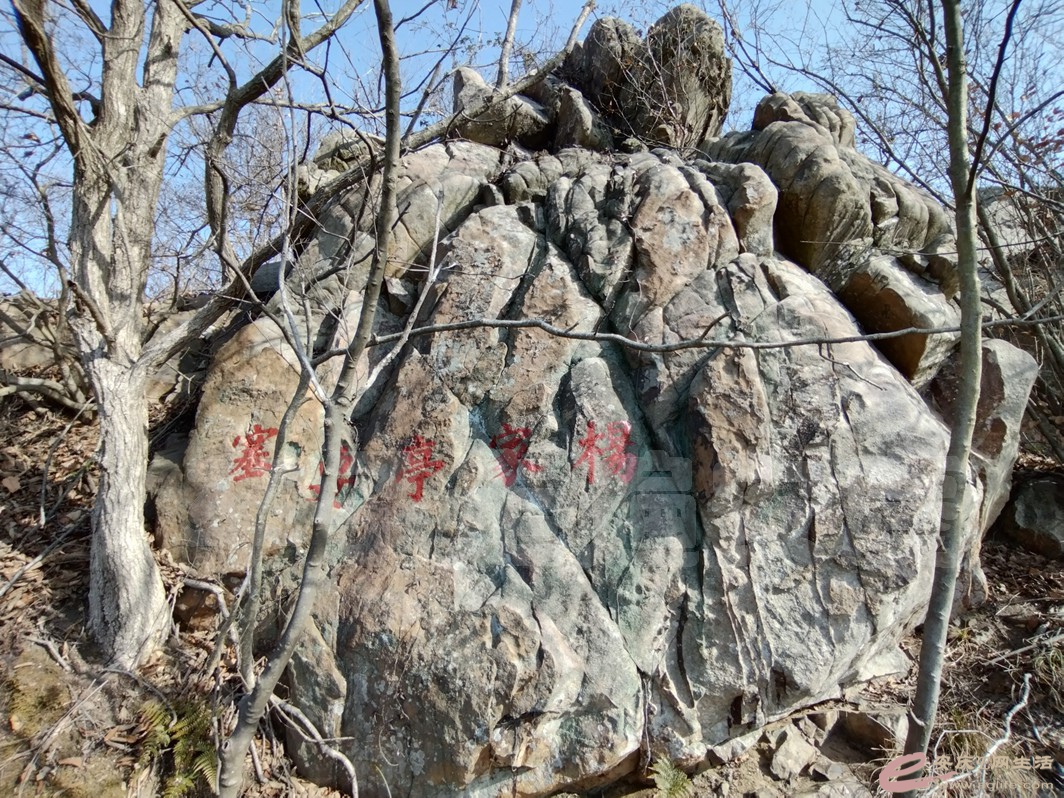 IMG_20230120_104722.jpg