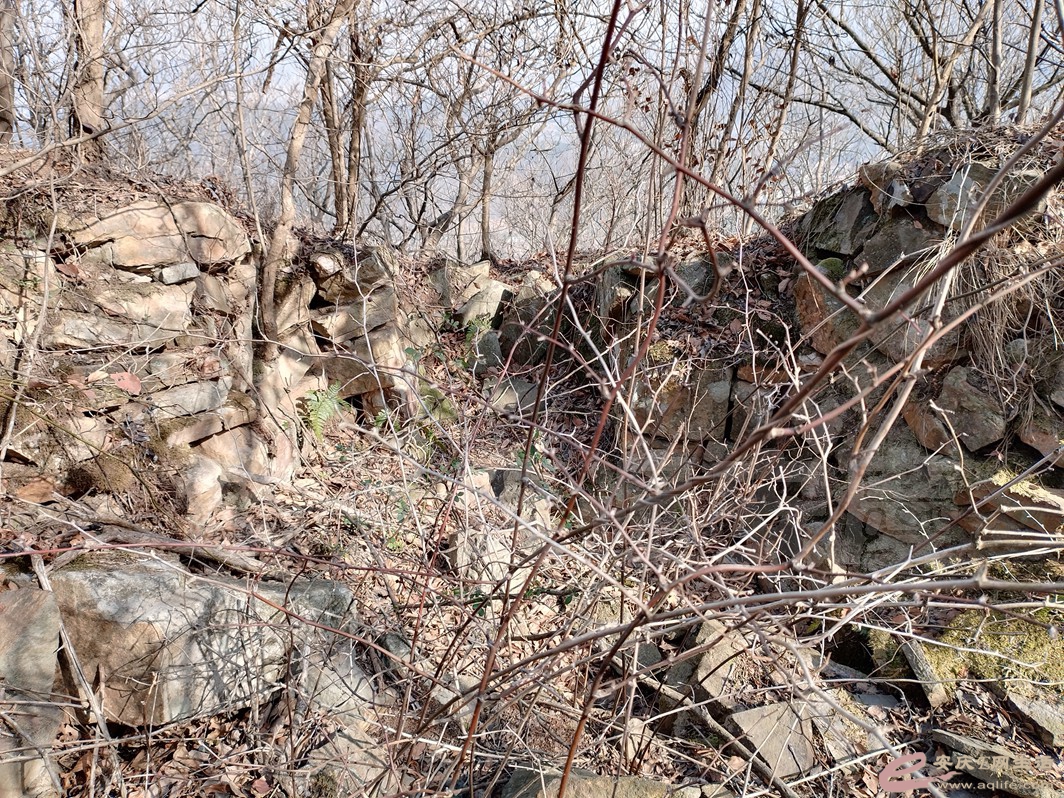 IMG_20230120_110606.jpg
