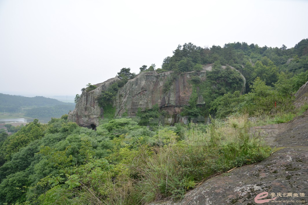 20160529 466.jpg