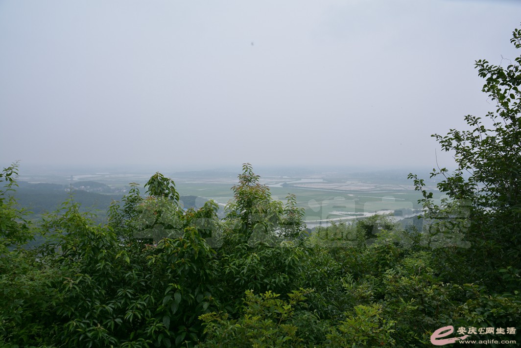 20160529 494.jpg