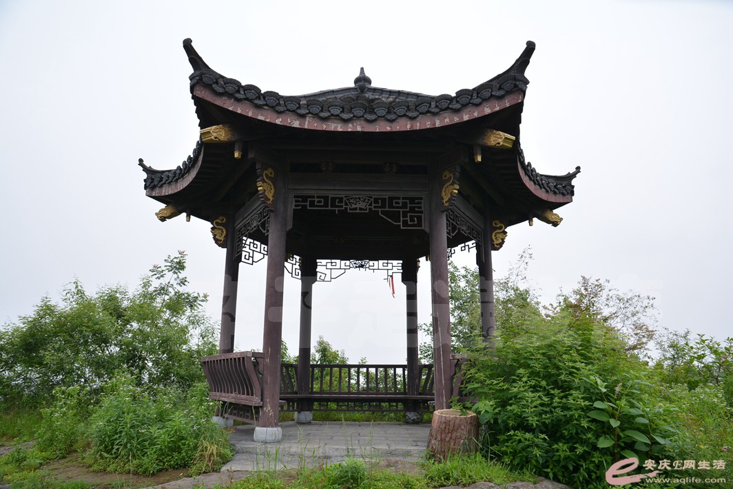 20160529 497.jpg