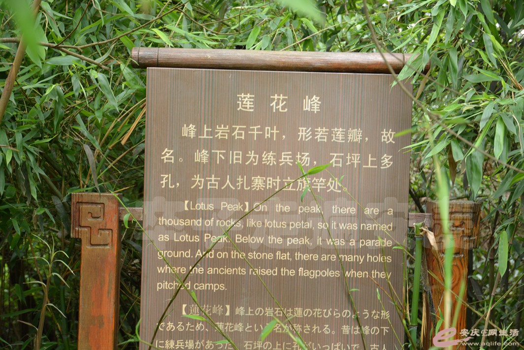 20160529 499.jpg