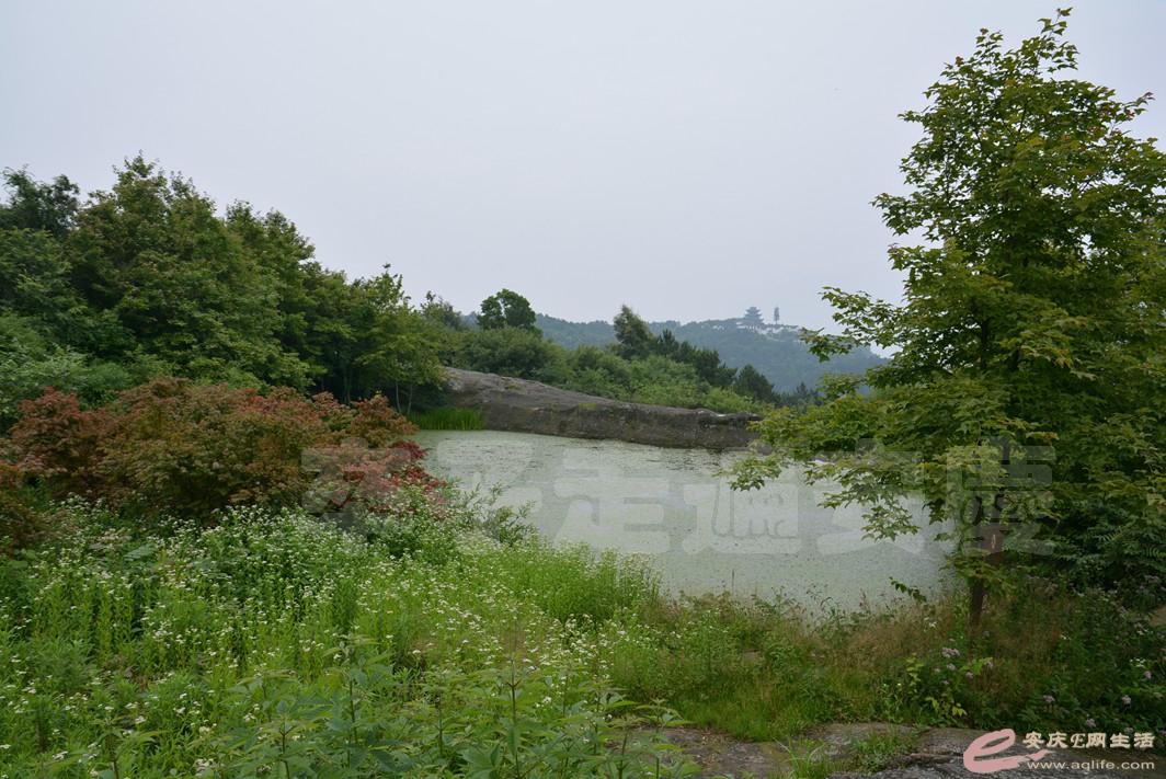 20160529 522.jpg