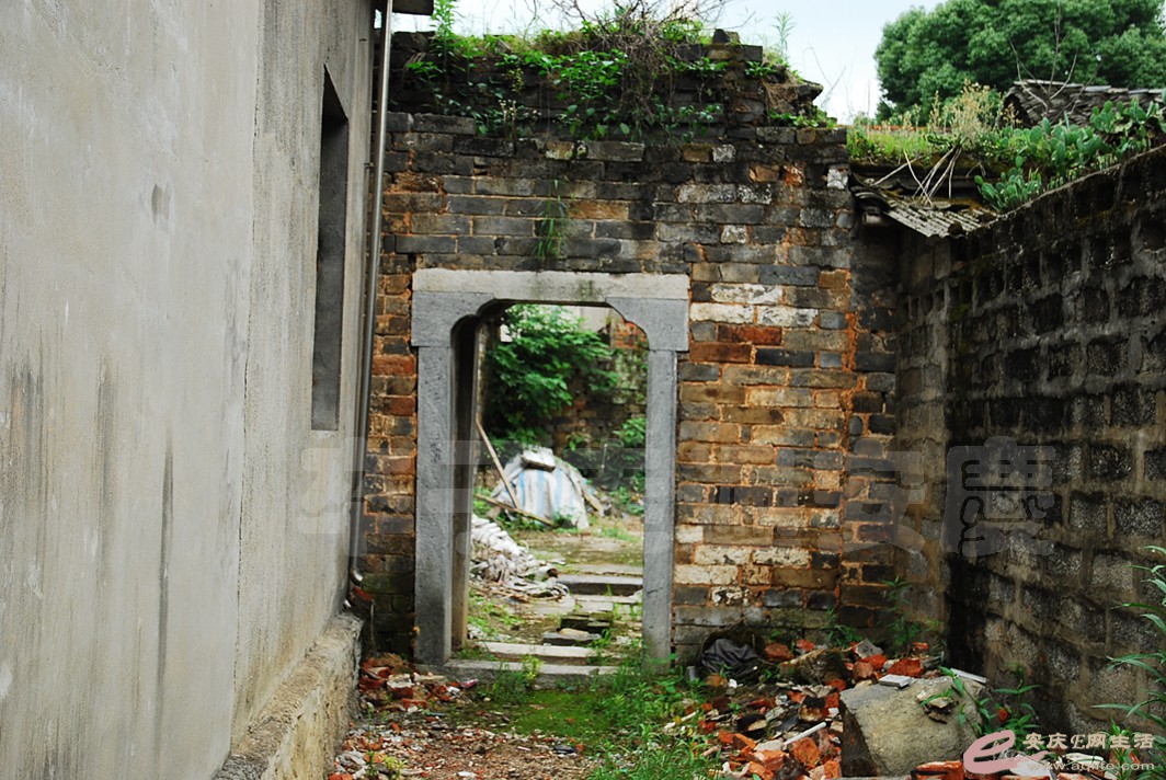 DSC_7597.jpg