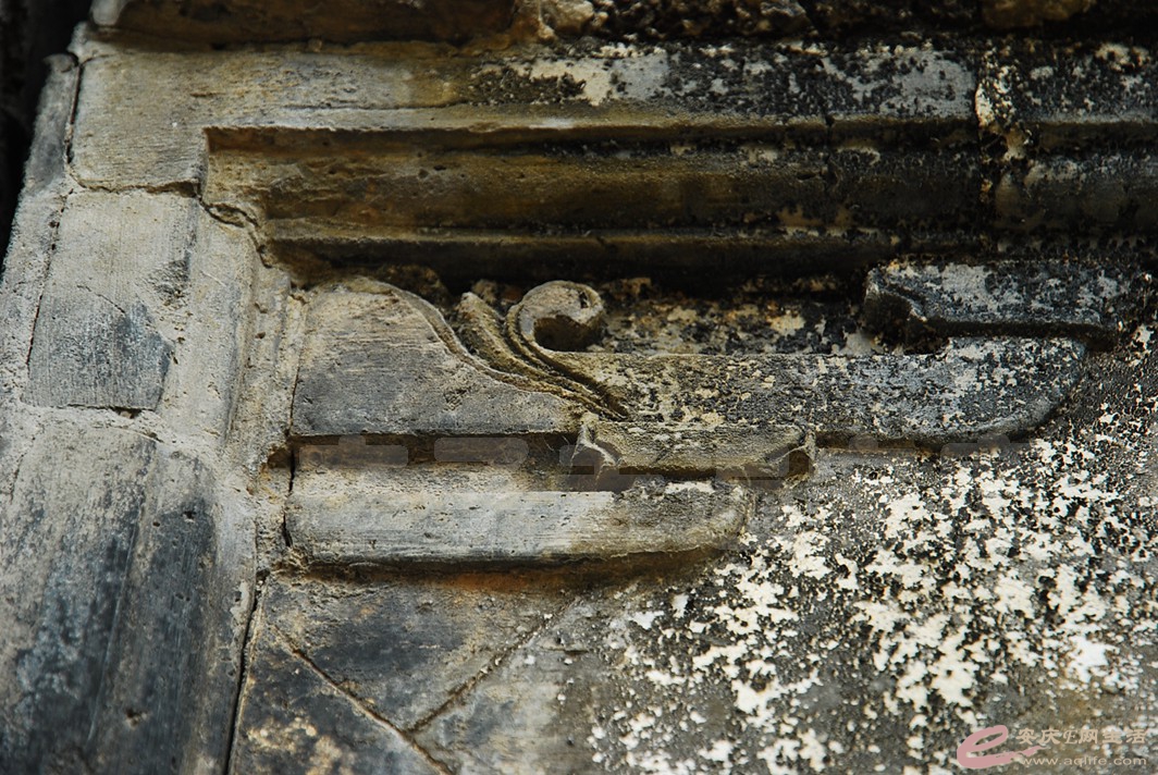 DSC_7613.jpg