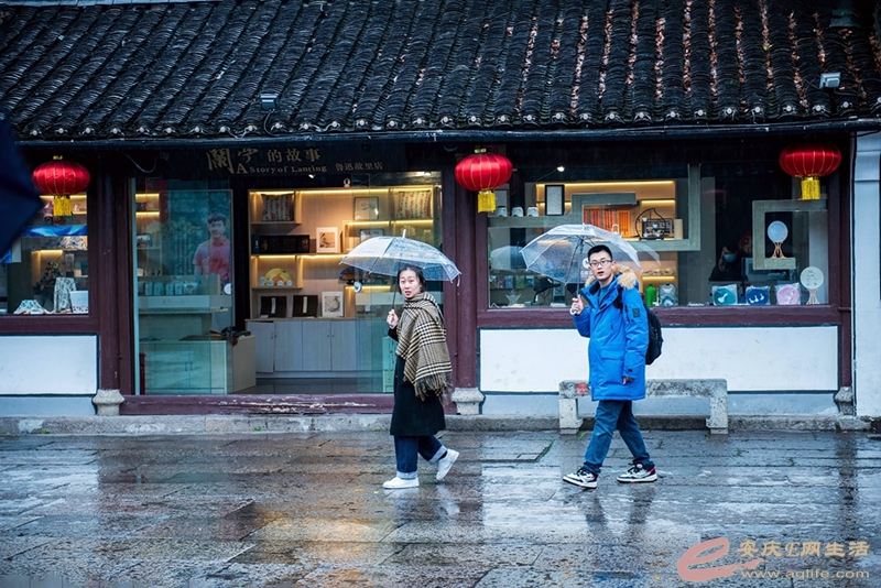 D81_5613.jpg