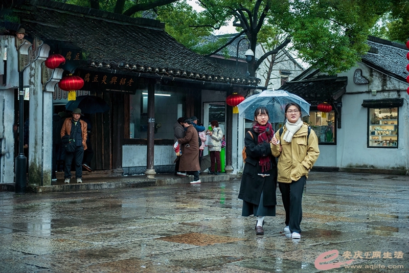 D81_5619.jpg