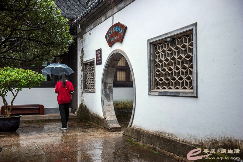 D81_5642.jpg