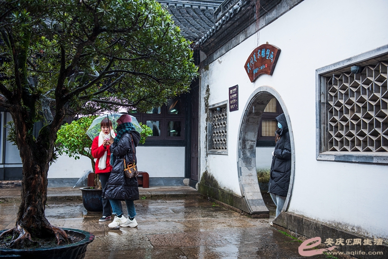 D81_5644.jpg