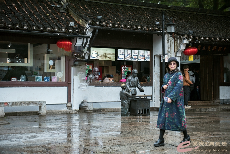 D81_5615.jpg